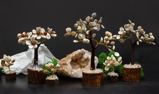 Lot de 4 arbres Gomati Chakra - photo 3