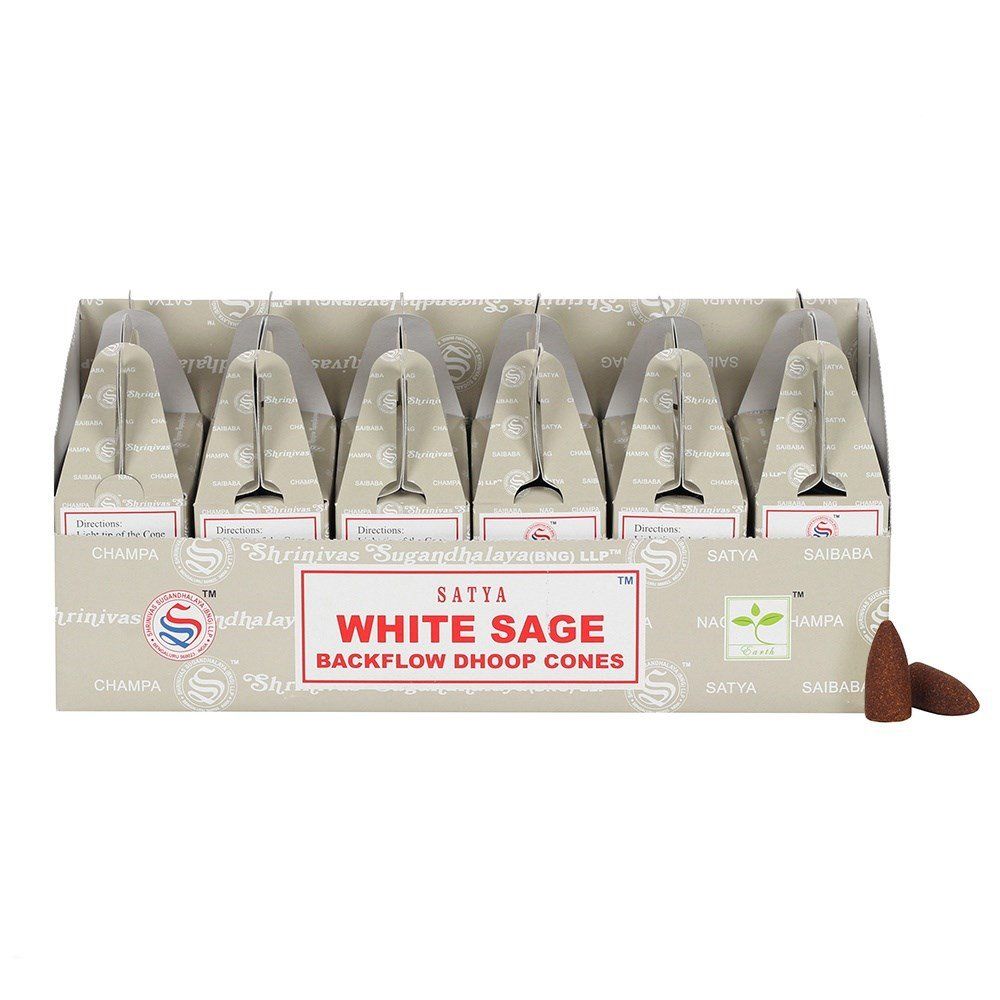 Cônes Backflow Sauge Blanche Satya - Purification x24 – photo 2