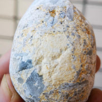 Géode de Célestine - Pierre des Anges - Tatum Cristal